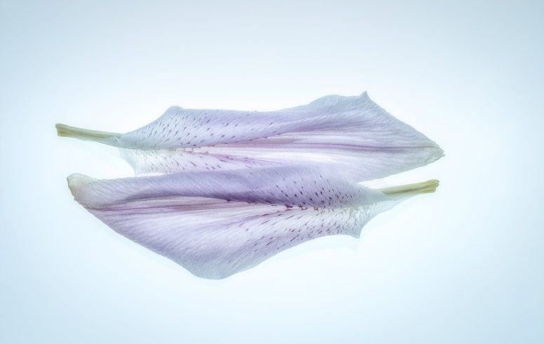 03 February 2025