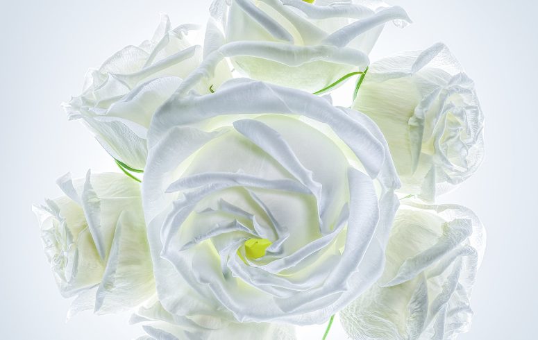 01 March 2025