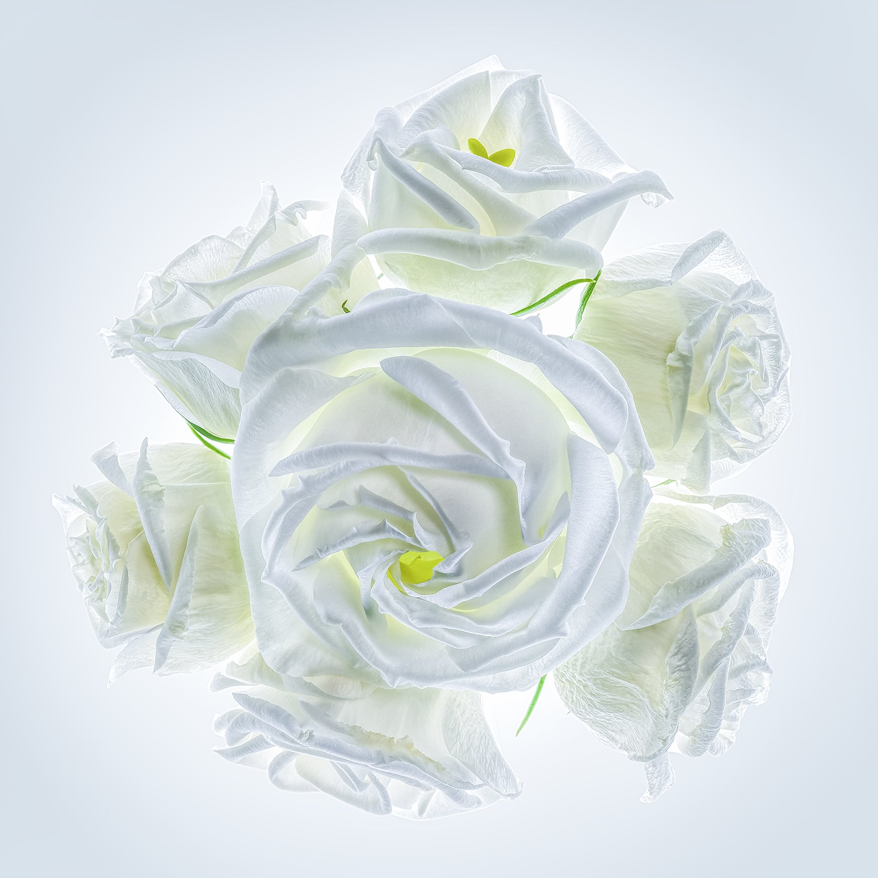 Portfolio Image