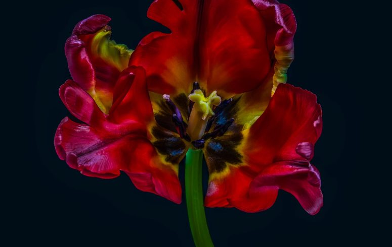 10 March 2025