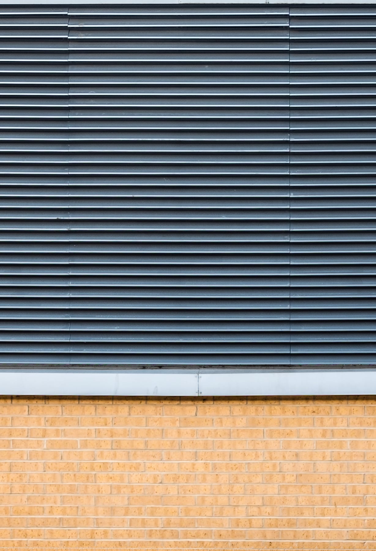 Portfolio Image