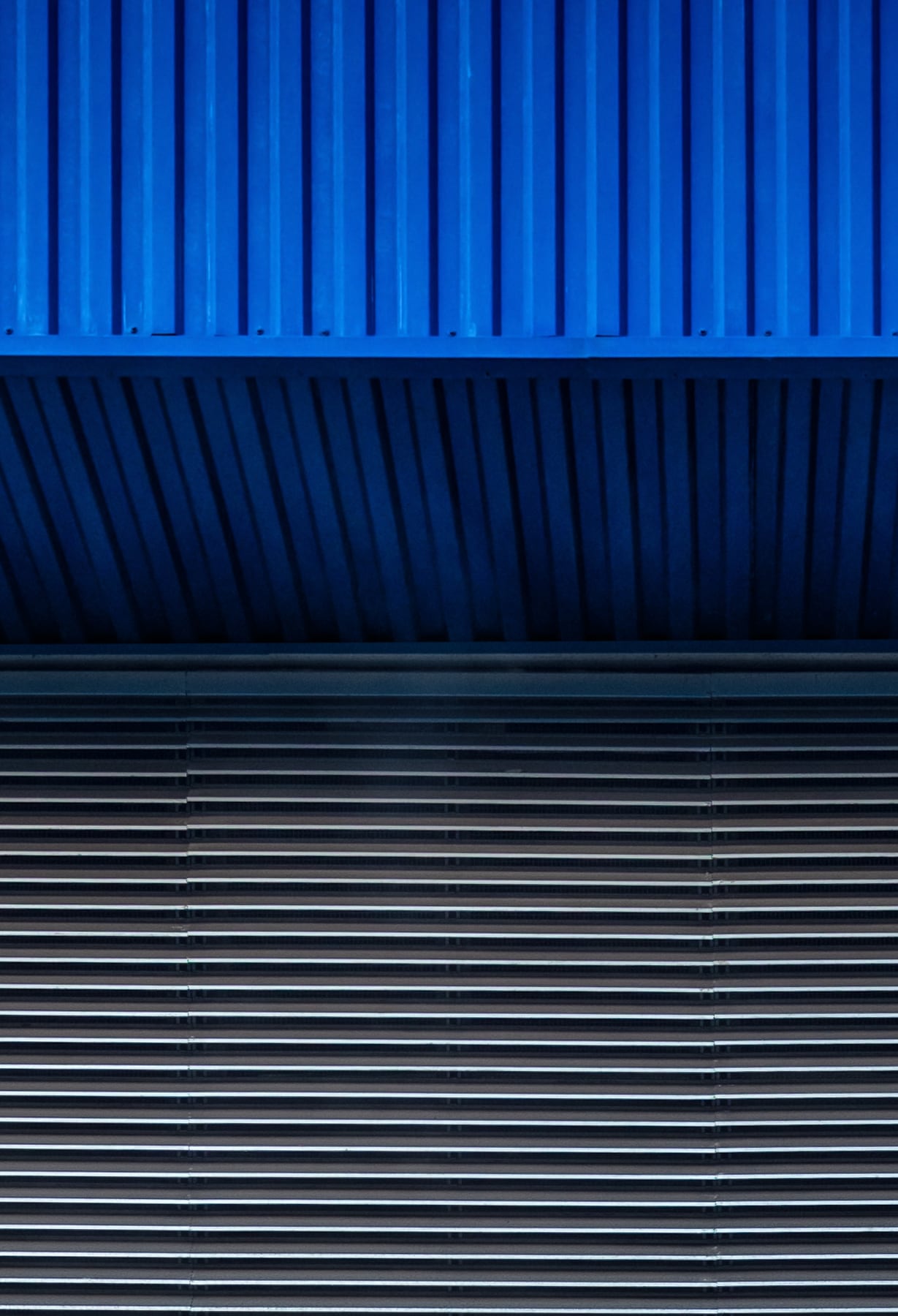 Portfolio Image