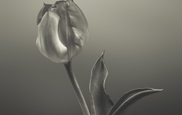 3 April 2025