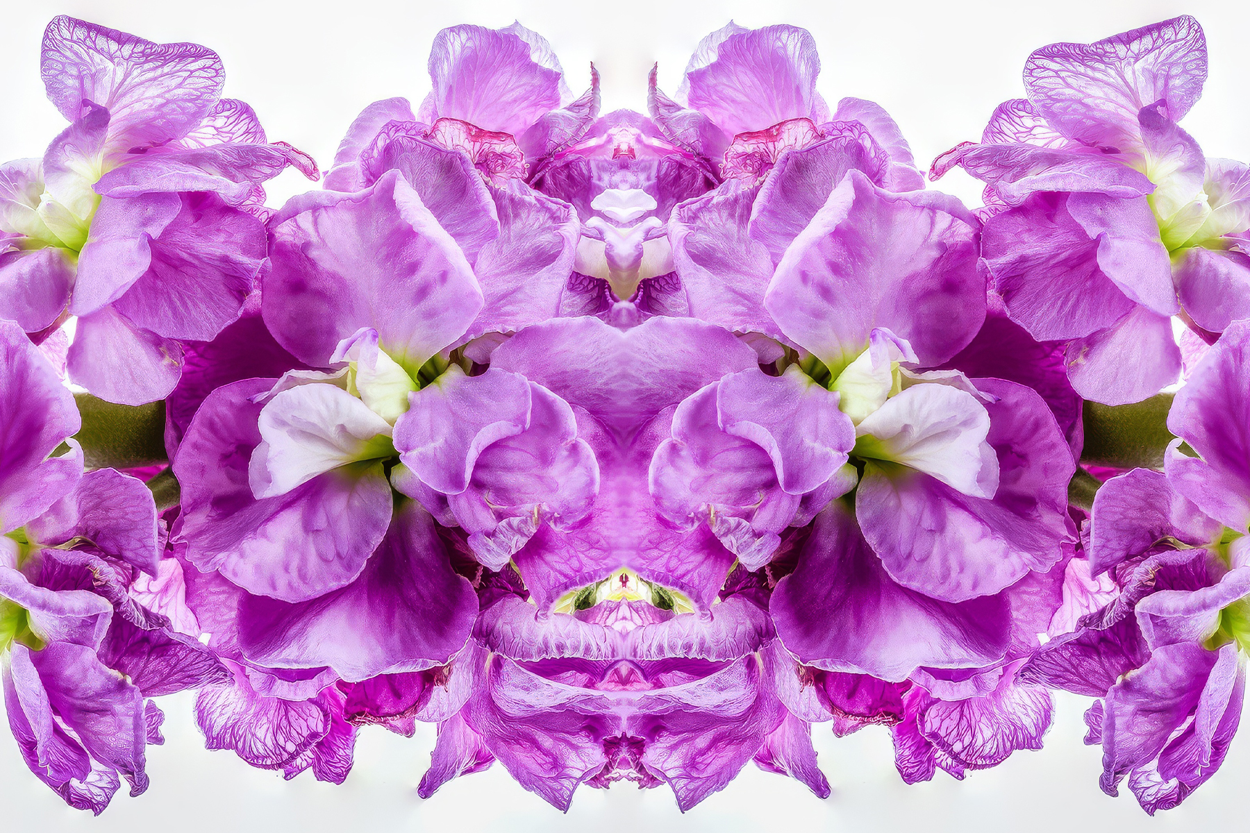 Portfolio Image