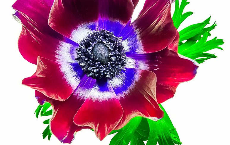7 May 2025