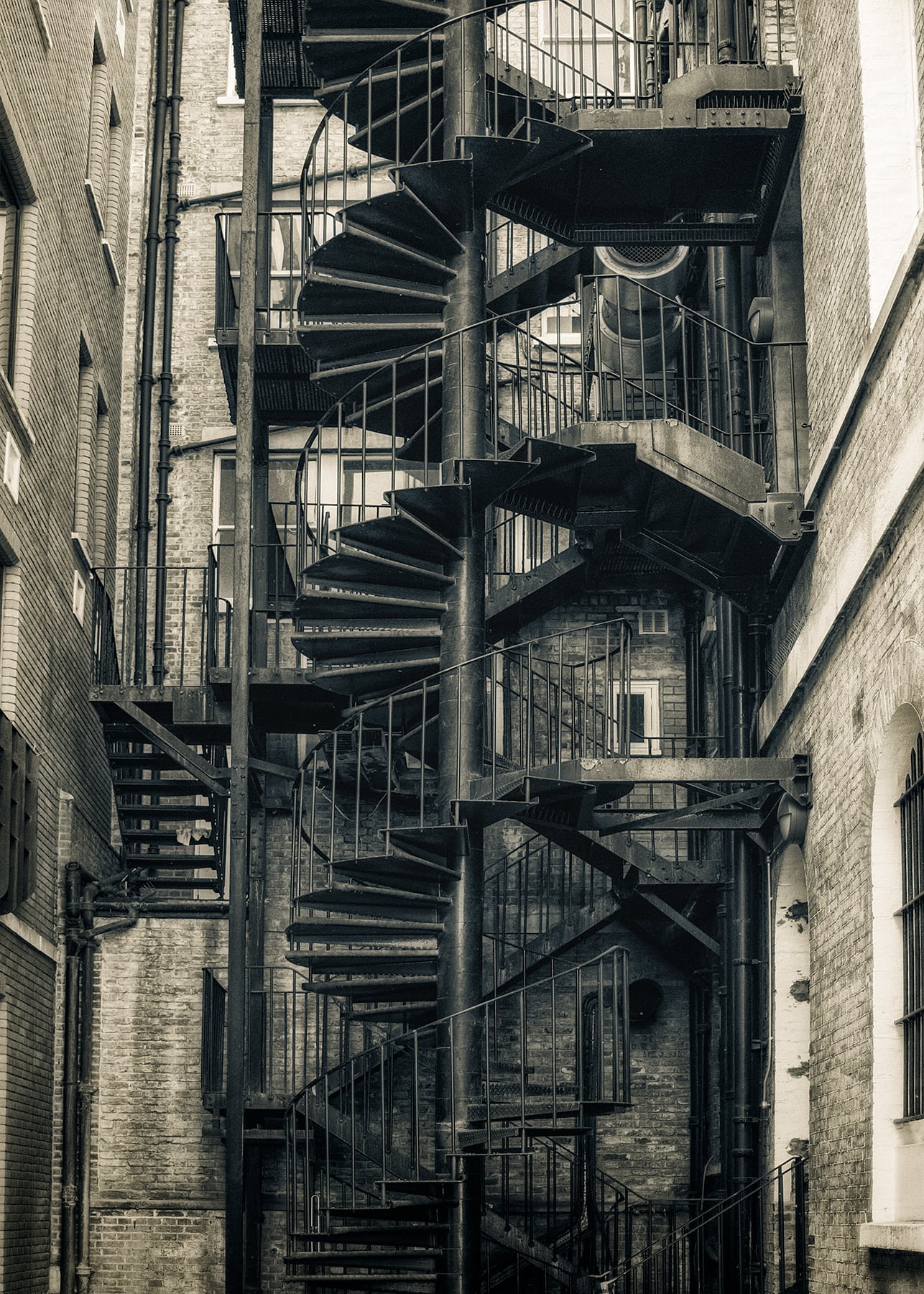 Portfolio Image