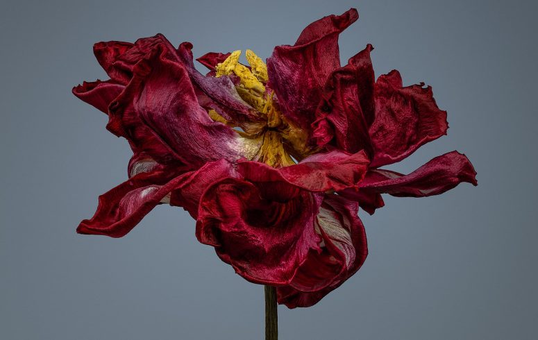 24 May 2025