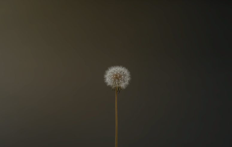 26 May 2025