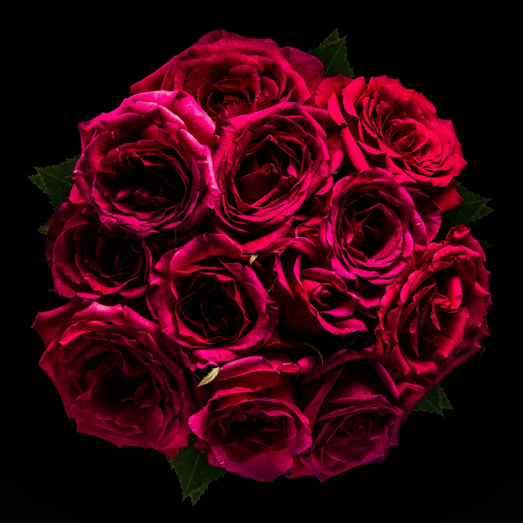 Portfolio Image