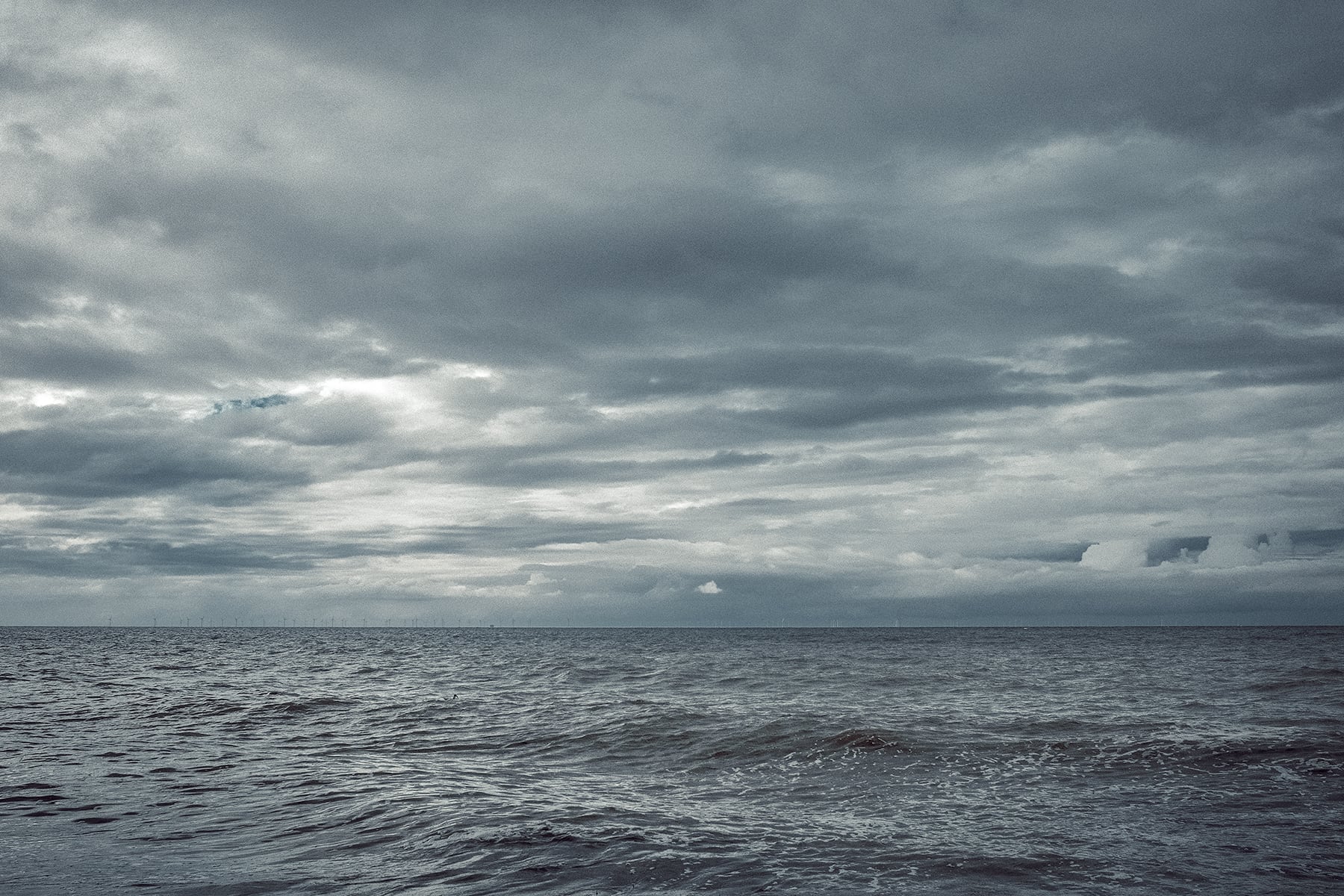 Portfolio Image