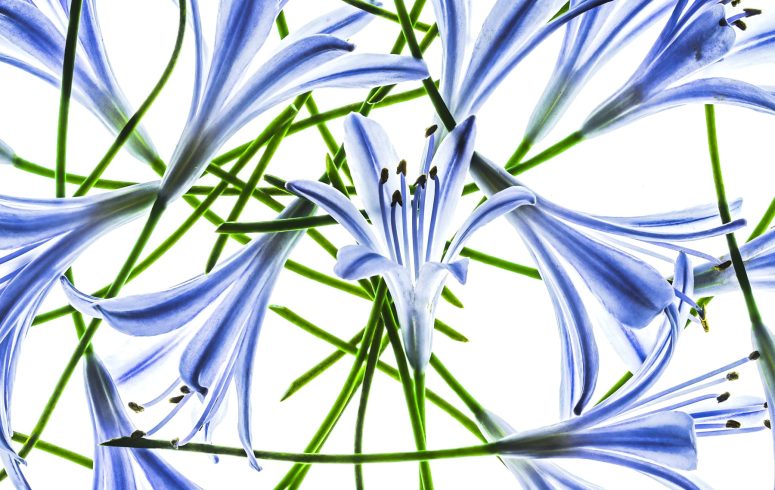 17 August 2025