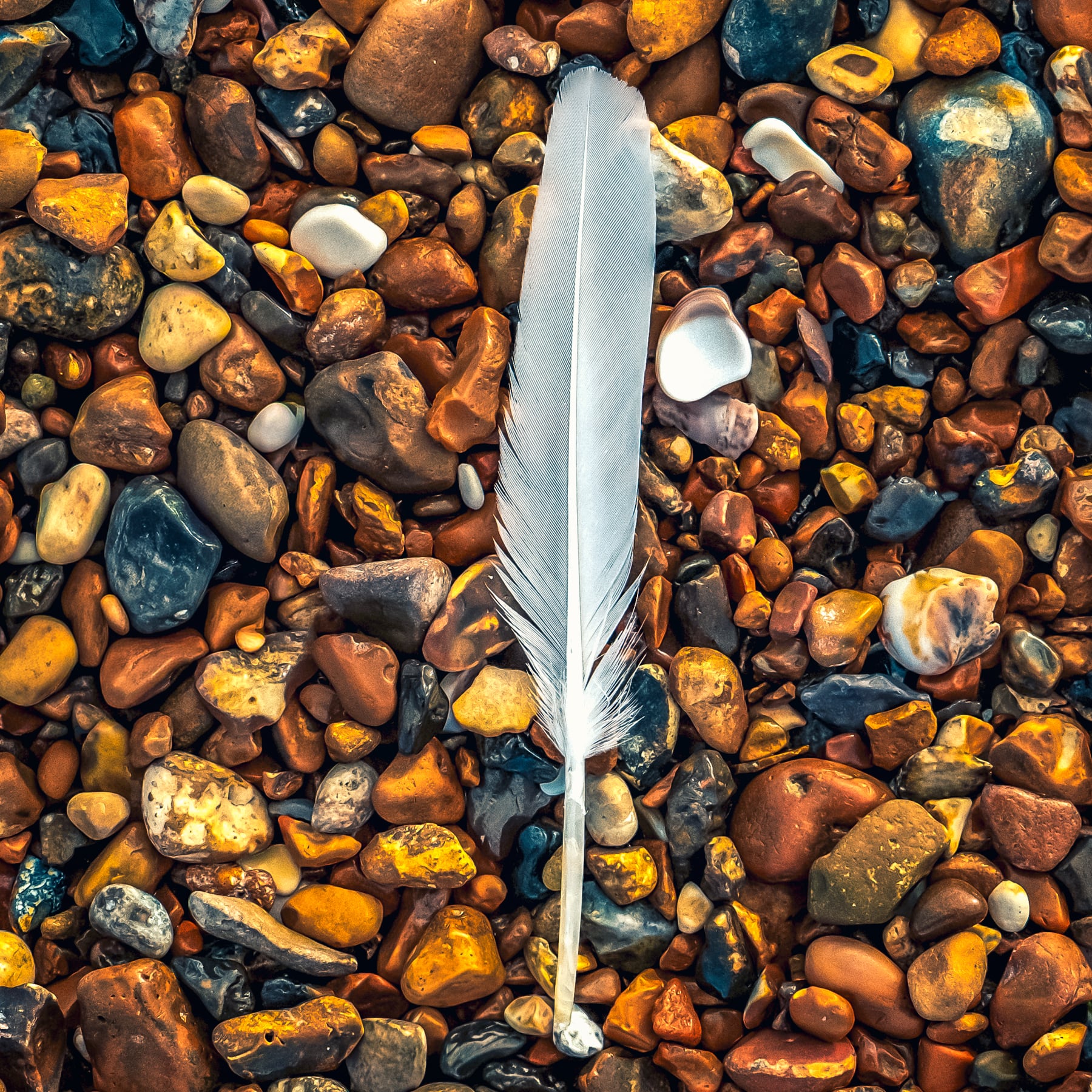 Portfolio Image
