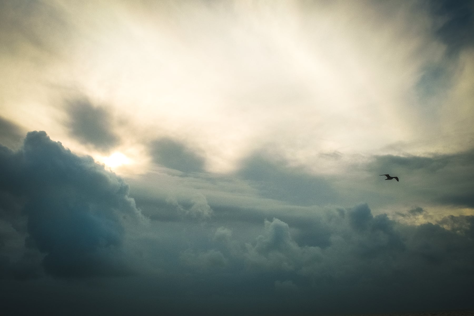 Portfolio Image