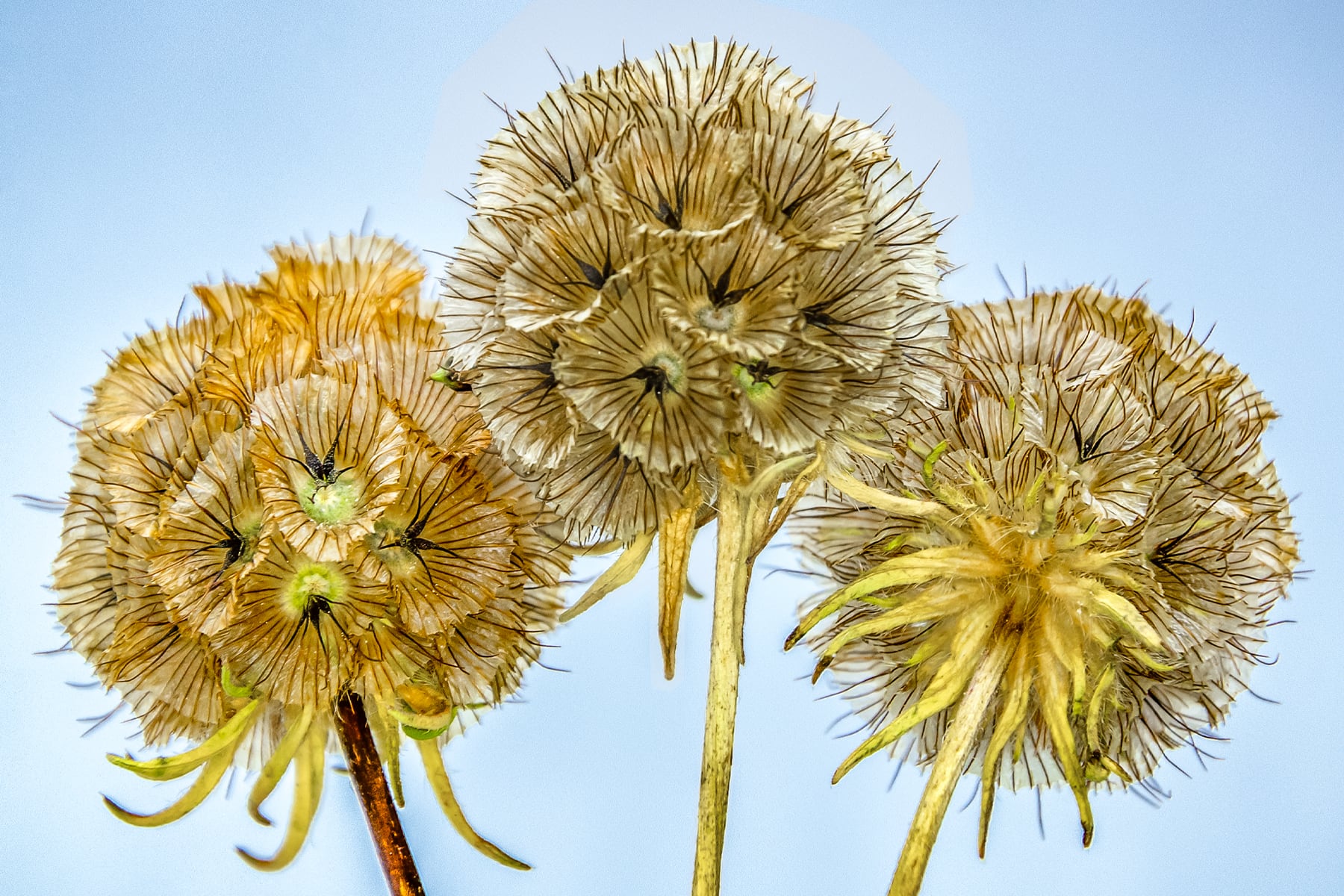 Portfolio Image