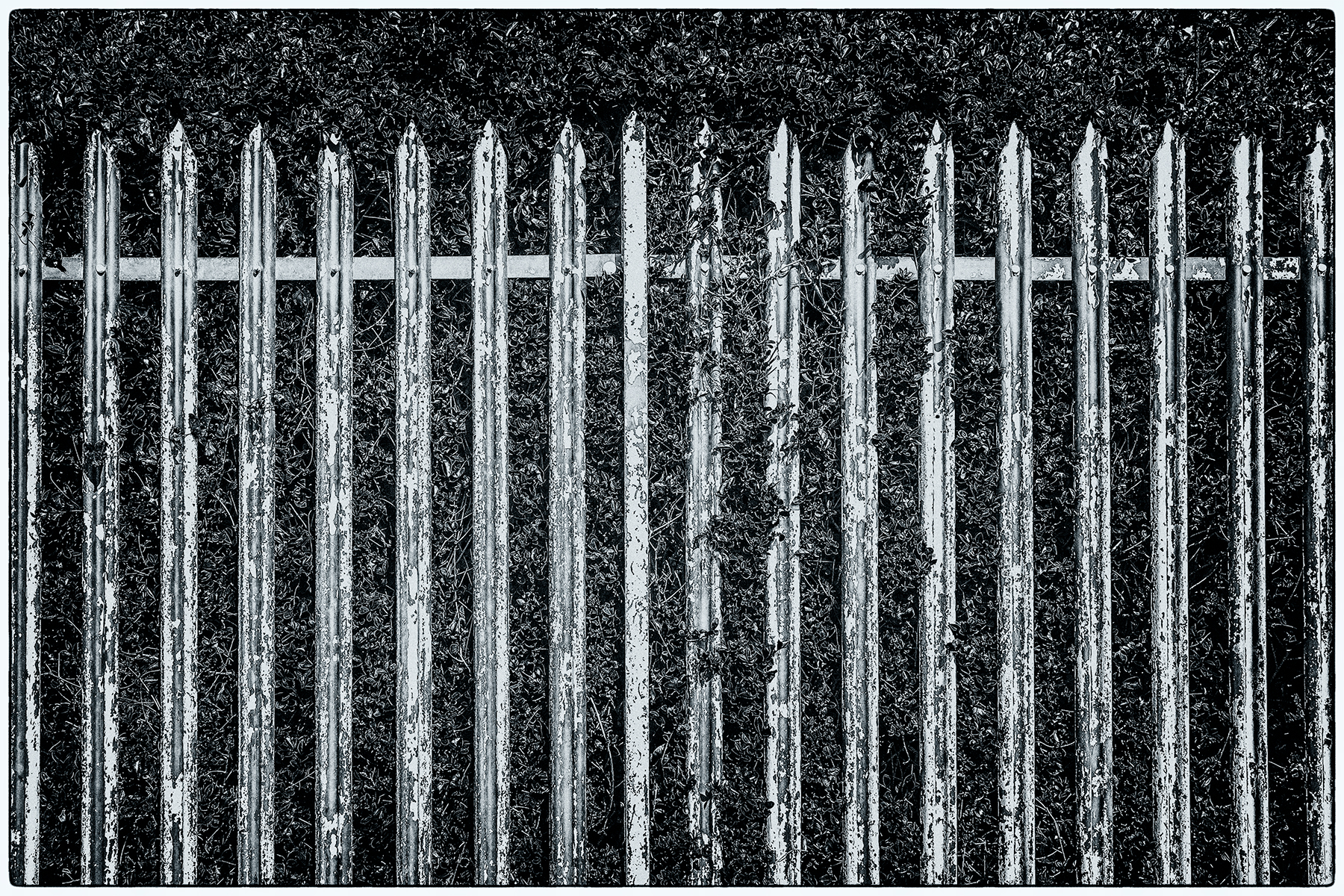 Portfolio Image