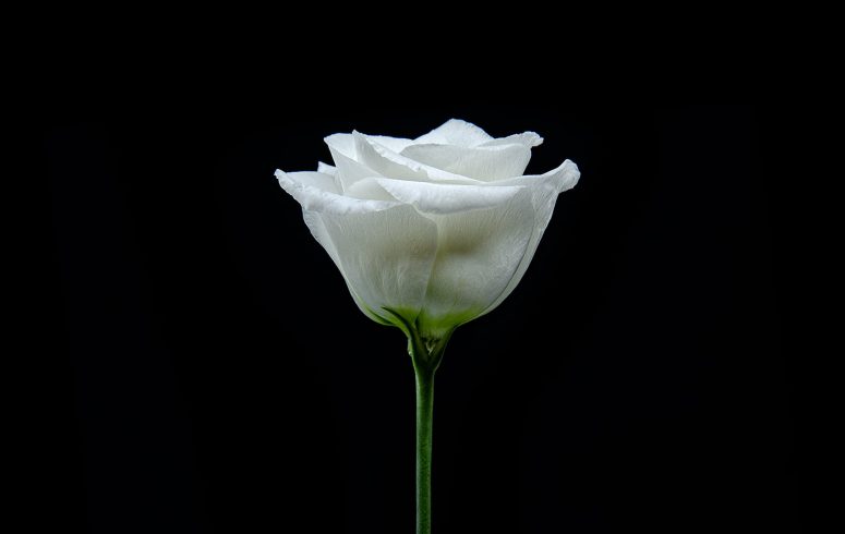 08 September 2025