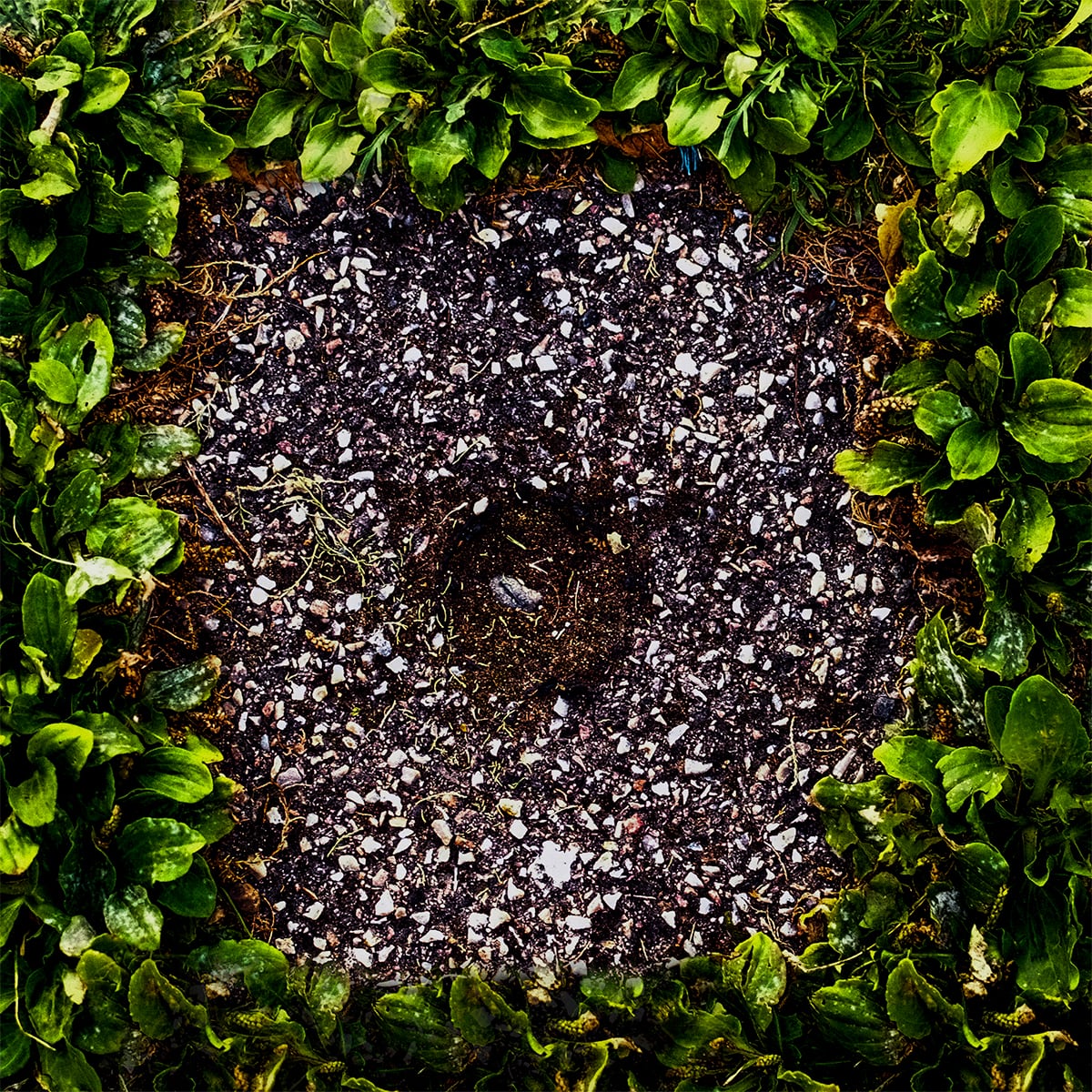 Portfolio Image
