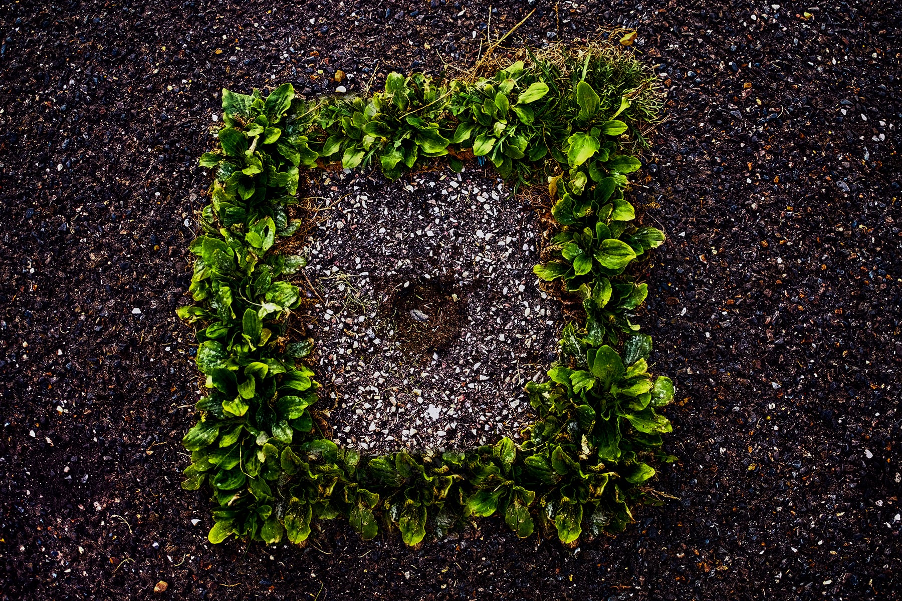 Portfolio Image