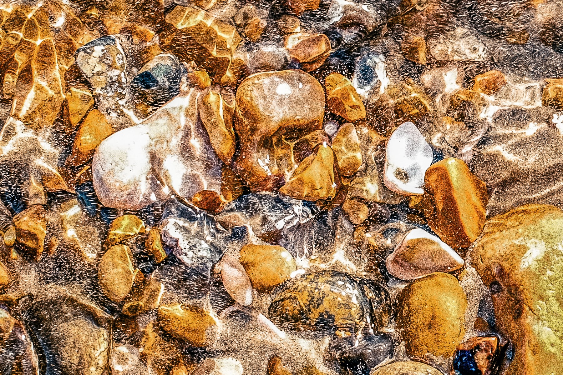 Portfolio Image