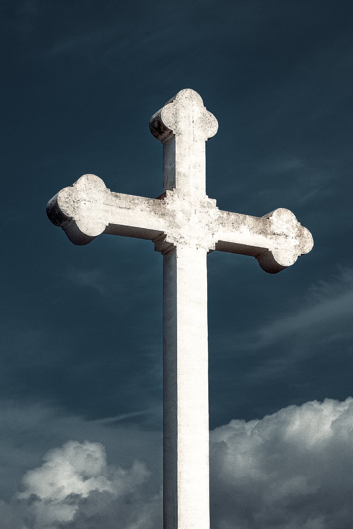 Portfolio Image