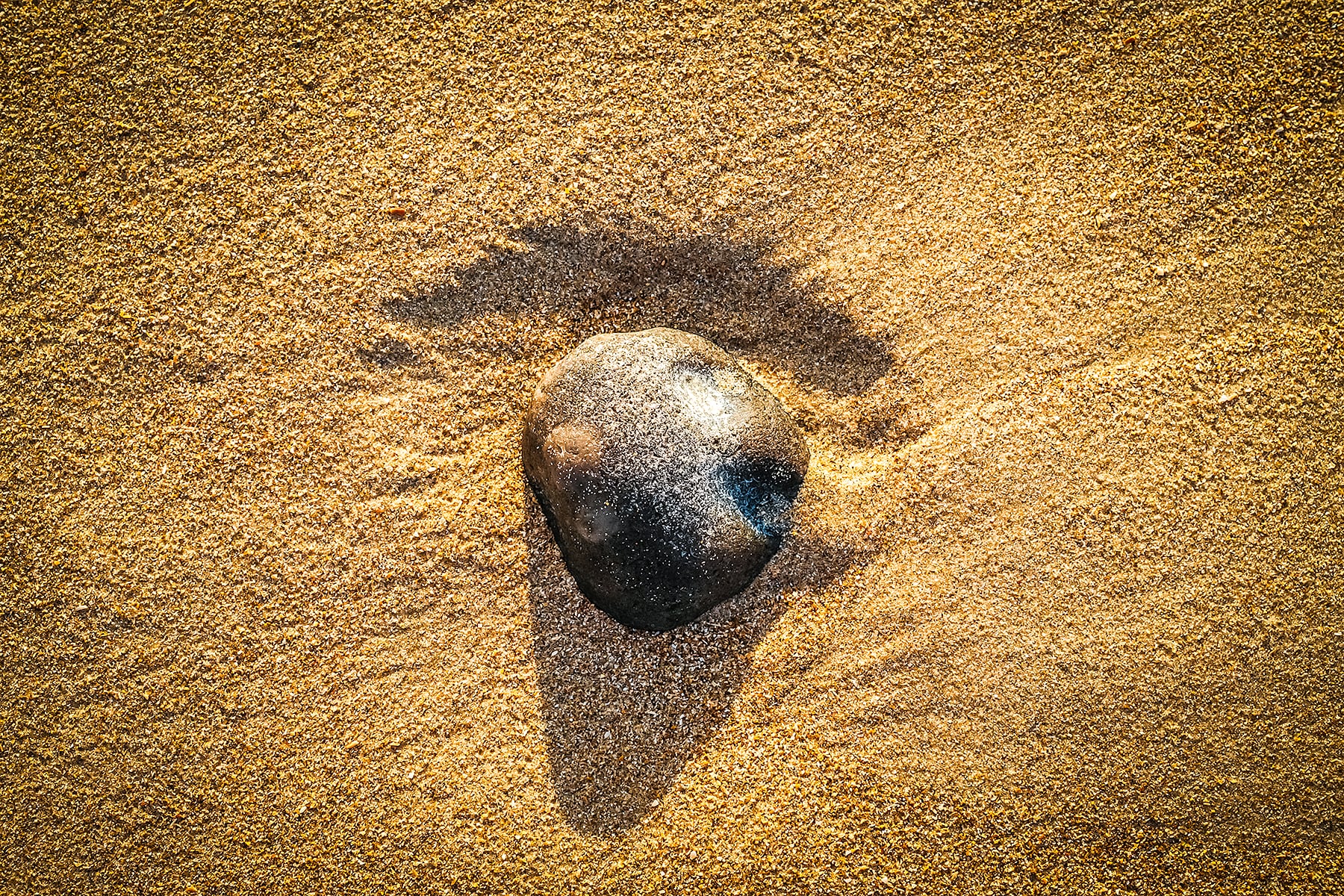 Portfolio Image
