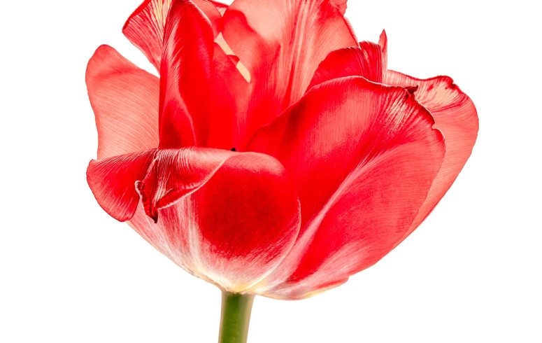 21 November 2025