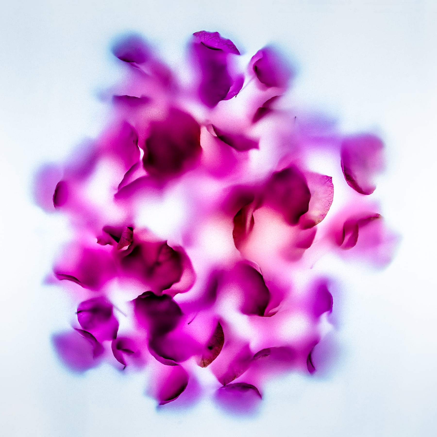 Portfolio Image