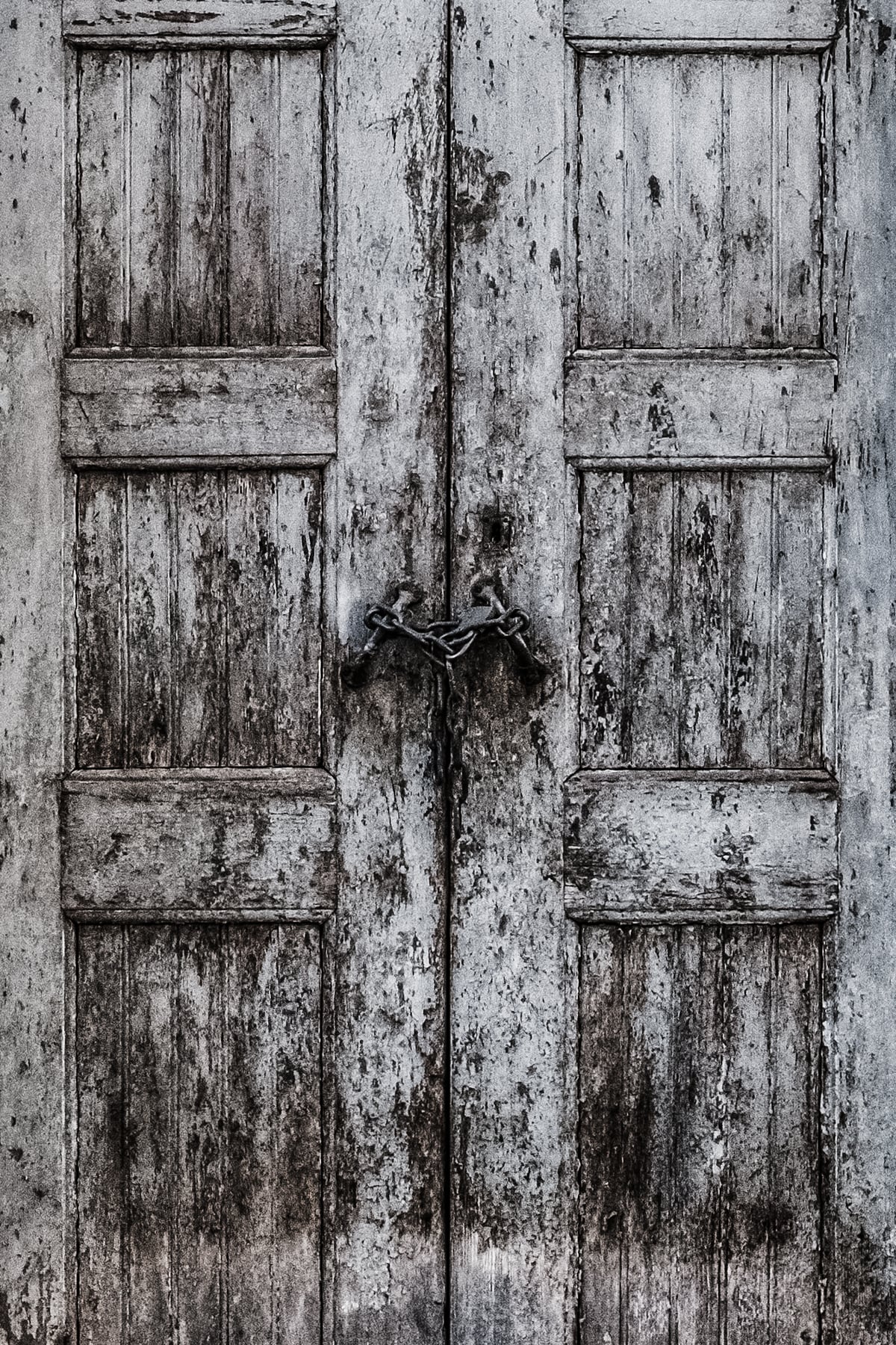 Portfolio Image